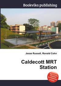 Caldecott MRT Station