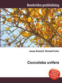 Coccoloba uvifera