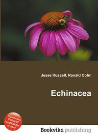 Echinacea
