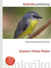 Eastern Yellow Robin