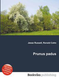 Prunus padus