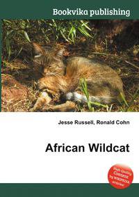 African Wildcat