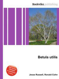 Betula utilis