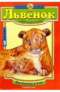 Львенок африканский