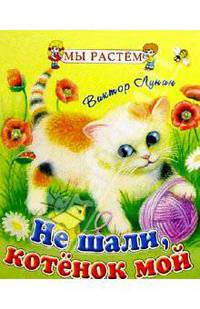 Не шали, котенок мой