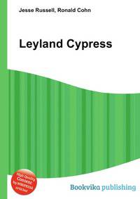 Leyland Cypress