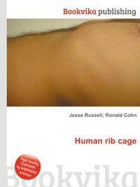 Human rib cage