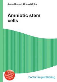 Amniotic stem cells