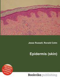 Epidermis (skin)