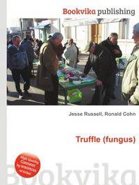 Truffle (fungus)