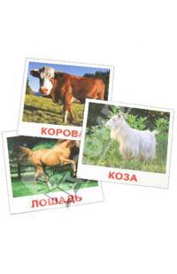 Комплект карточек "Домашние животные" (16,5х19,5 см)