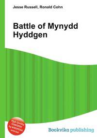 Battle of Mynydd Hyddgen