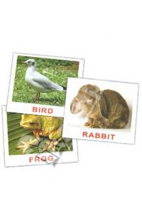 Комплект карточек мини на английском языке "Animals" 8х10 см