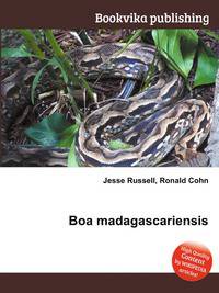 Boa madagascariensis