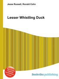 Lesser Whistling Duck