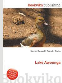 Lake Awoonga