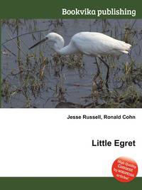 Little Egret