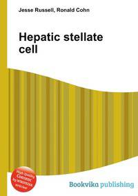 Hepatic stellate cell