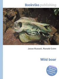 Wild boar