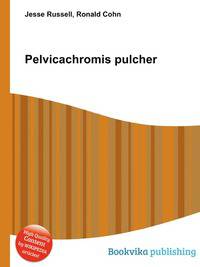 Pelvicachromis pulcher