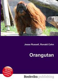 Orangutan