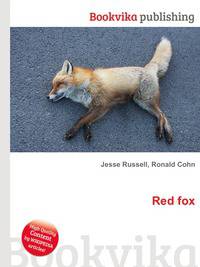 Red fox