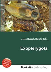 Exopterygota