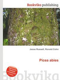 Picea abies