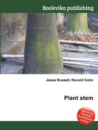Plant stem