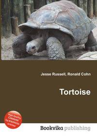 Tortoise