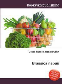 Brassica napus