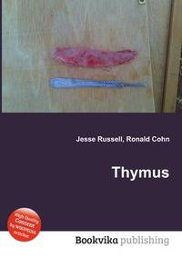 Thymus