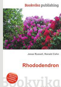 Rhododendron