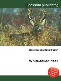 White-tailed deer