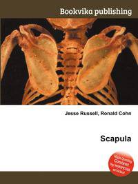 Scapula