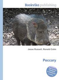 Peccary