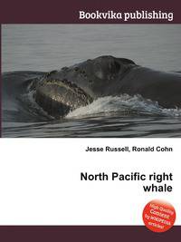 North Pacific right whale