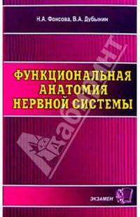 Функциональная анатомия нервной системы: Учебное пособие для вузов