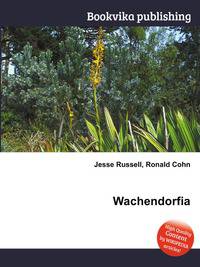 Wachendorfia
