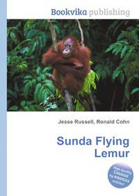Sunda Flying Lemur