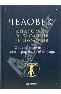 Человек: анатомия, физиология, психология. Энциклопедический иллюстрированный словарь