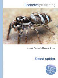 Zebra spider