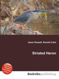 Striated Heron