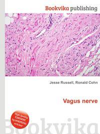 Vagus nerve