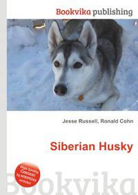 Siberian Husky