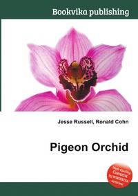 Pigeon Orchid