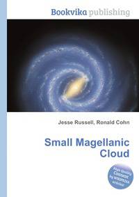 Small Magellanic Cloud