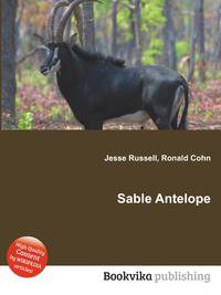 Sable Antelope