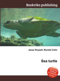 Sea turtle