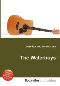 The Waterboys